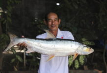 Giant Fish Thought To Be Extinct Is Spotted in the Mekong River Mekong