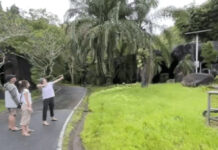 Khao Kheow Zoo Files Police Report on Visitor Misusing Slingshot Khao Kheow