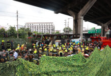 Road Accidents and Deaths in Thailand: A Road to Nowhere