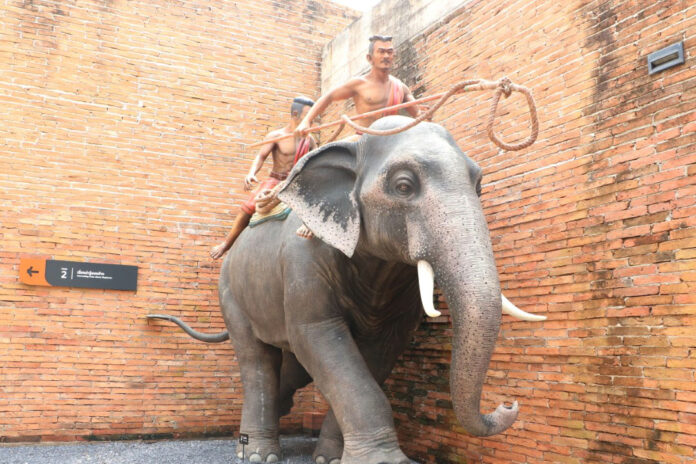 elephant museum100