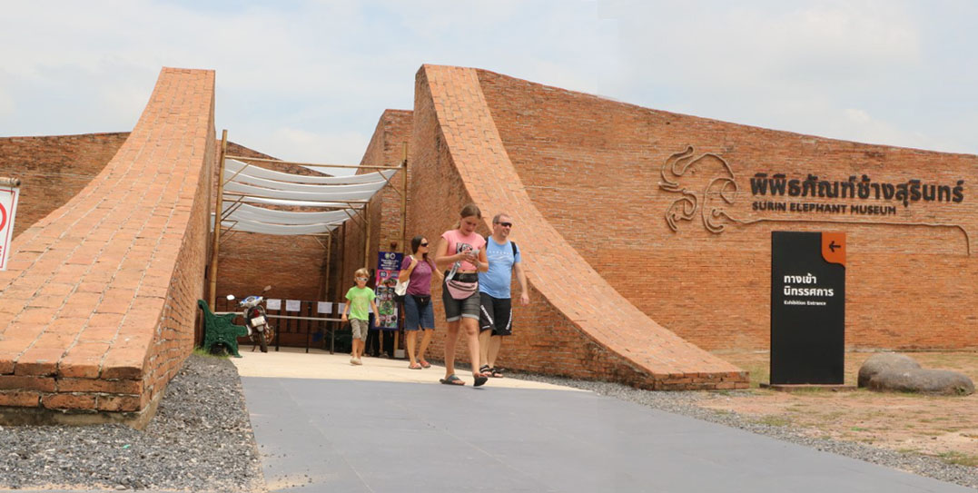 elephant museum13