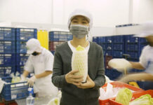 Thailand Exports Drive Growth 3-Month Row Despite Global Challenges