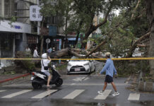 Taiwanese Driver Recounts His Narrow Escape During Typhoon Kong-rey; Thai Woman Died