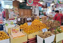 New E-commerce ‘THAI MALL’ Aims for Thai Fruit Exports to China fruit