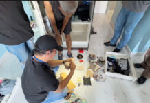 Colombian Thief Arrested in Bangkok Luxury Car Robbery Worth $95K Colombian