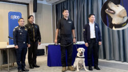 US Police Dog Helps Thai Authorities Crack Child Exploitation Ring