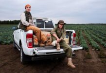 Maximize Your Truck’s Durability: The Importance of a Quality Bed Liner