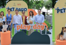 PET PARQ – Thailand’s The First Rooftop Pet Park, at The PARQ.
