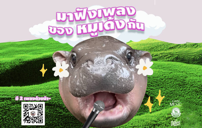 moo deng song1 Moo Deng