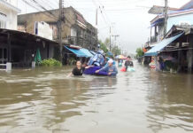 Southern Thailand Flooding Crisis Worsens: 9 Dead, Over 550,000 Affected southern Thailand