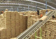Thai Rice Exports Surge 22% in First 9 Months Amid Growing Competition rice export