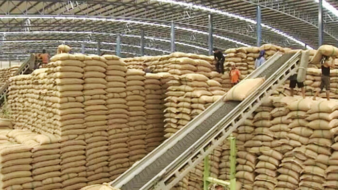 rice exports2024-1 rice export