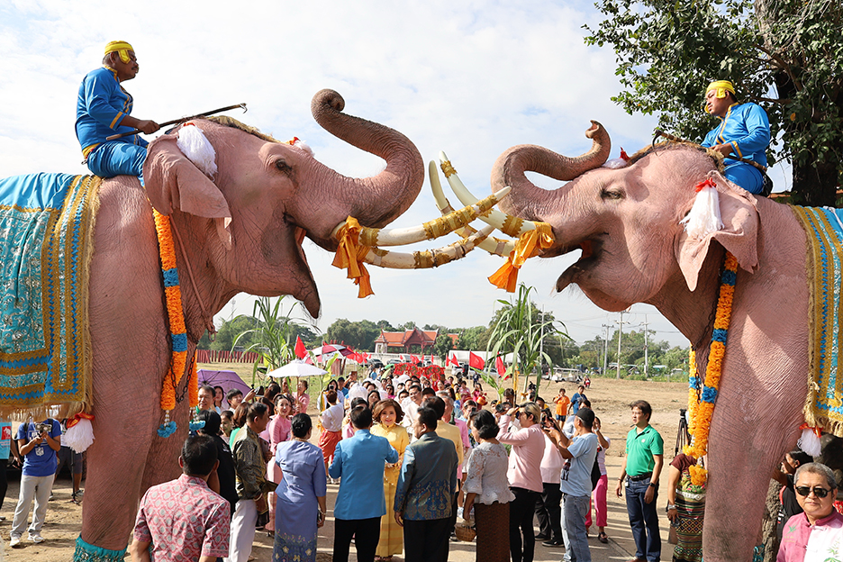 twin elephants4