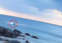 Austrian Tourist Arrested in Fatal Jet Ski Incident at Phuket Beach Austrian