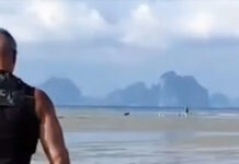 Thai Wife of Russian Tourist, Attacked by Stray Dogs on Muk Island