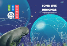 Teen Siblings Donate Equipment to Support Dugong Conservation Efforts dugong