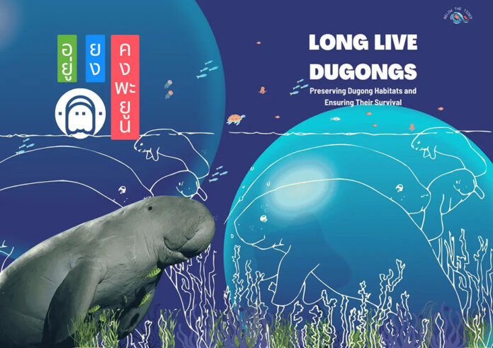 dugong3 dugong