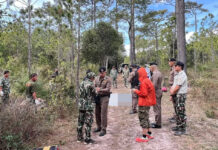Fatal Elephant Encounter Prompts Safety Review at Thai National Park National Park