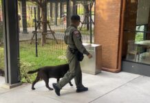 Bangkok School Employee Arrested After False Bomb Threat Hoax