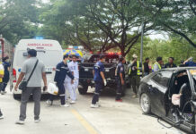 Hong Kong Driver, Thai Woman Injured in Chonburi Crash Hong Kong