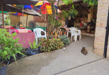 Singaporean Dies at Phuket Massage Parlor; Wife Cites Health Issues massage
