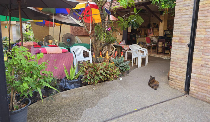 massage phuket1 massage