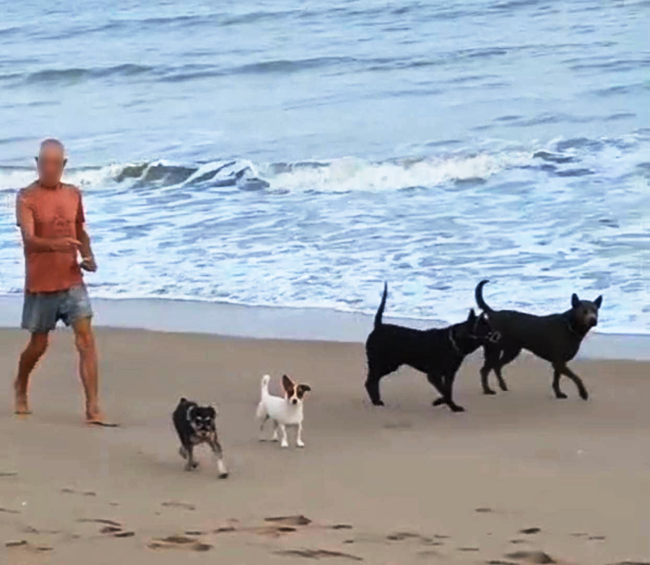 dog dispute prachuap2