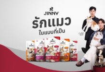 JINNY Cat Food Names Jung & Cullen Brand Ambassadors in New Campaign