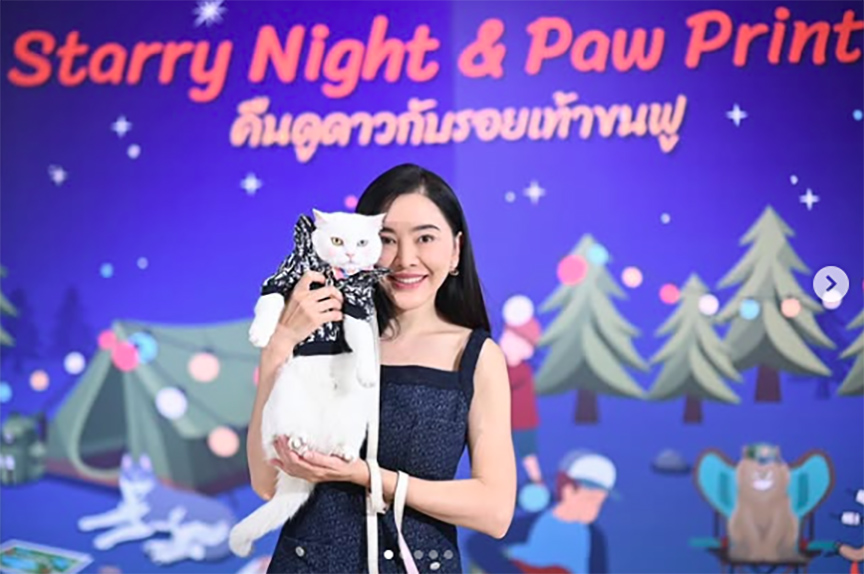 pet travel1
