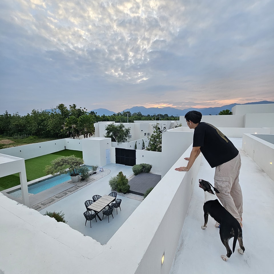 pet travel2