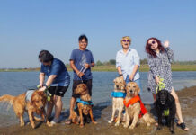 Pet Tourism Spurs 20% Spending Boost in Thailand’s Central Provinces pet