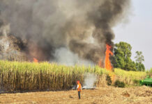 Understanding Why Thailand Failed to Tackle PM2.5 Microdust Particles