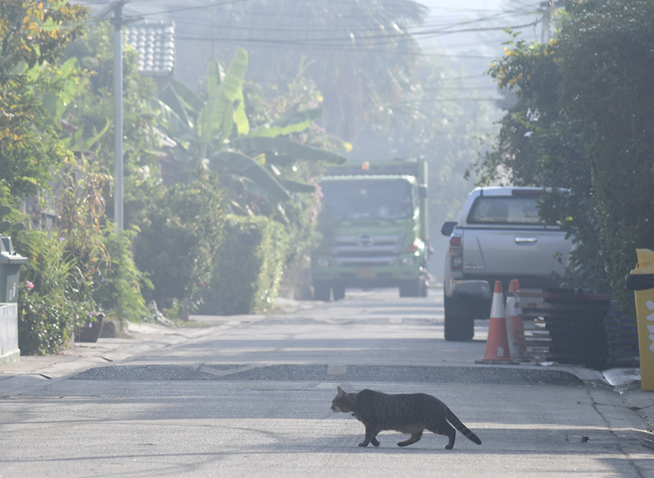 pm2 5 bangkok3