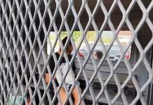 Tragedy at Sea: Russian Father Charged in Son’s Death in Phangnga Russian