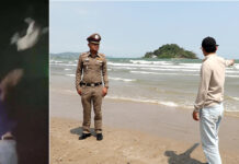 Myanmar Teen Confesses to Beach Dog Cruelty Two Years Ago Dog