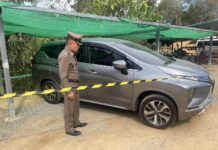 Canadian Man Found Dead in Phuket, Leaves Heartfelt Note About Cats Canadian