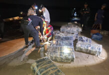 Three Laotians Arrested in Major Drug Bust Along Mekong River drug