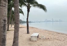 Beach or Bedroom? Pattaya Grapples with Tourist Indecency indecency