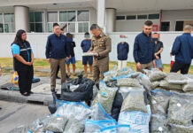 Human Trafficking Case Leads to Major Cannabis Bust in Bangkok