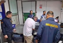 Cannabis Worth Millions Seized as Four More Britons Arrested at Samui cannabis