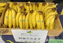 Thailand Seeks to Tap Japanese Banana Market Amid Rice Price Concerns banana