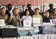 100KG of Cannabis Seized at Chiang Mai Airport as Smugglers Walk Free cannabis