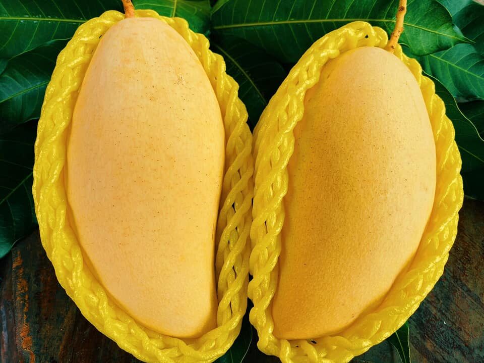 mango nam dok mai