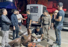 Drift and Drugs: Three Nigerian Men Arrested in Phuket in Two Separate Cases Nigerian