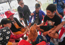 Worried Families and Rescue Dogs Bond During the Long Days of Searching at Bangkok Collapse
