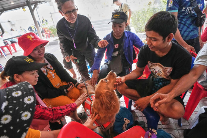 APTOPIX Thailand Building Collapse Rescue Dogs