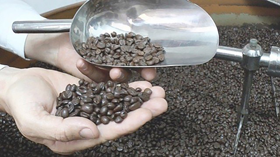 coffee bean