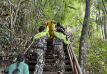 Landslide at Khao Yai Injures Two Filipino Language Teachers Filipino
