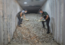 Thai Officials Seize Over 200 Tons of Electronic Waste Illegally Imported From the US
