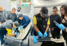 Brazilian Couple’s Intercontinental Cocaine Run Ends in Bangkok Cocaine